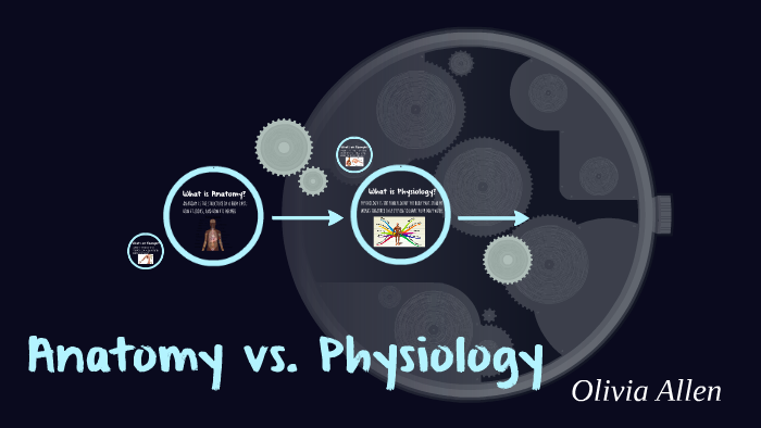 Anatomy vs. Physiology by Olivia Allen on Prezi