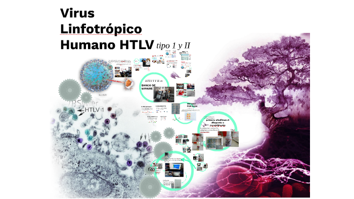 virus linfotropico humano I y II by Kevin Rafael on Prezi