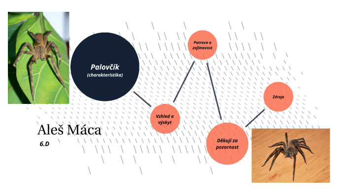 Palov k Brazilsk By Ales Maca On Prezi palov-k-brazilsk-by-ales-maca-on-prezi