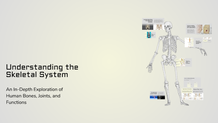 Understanding the Skeletal System by Lily Sore on Prezi
