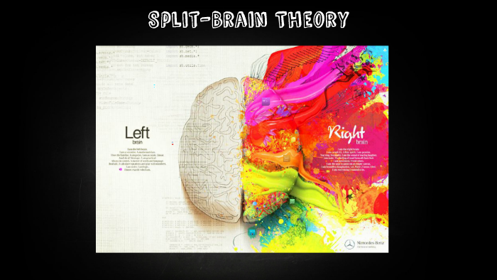 split brain theory experiment