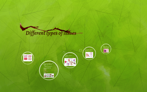 Different types of issues by Pirathina Apputhurai on Prezi