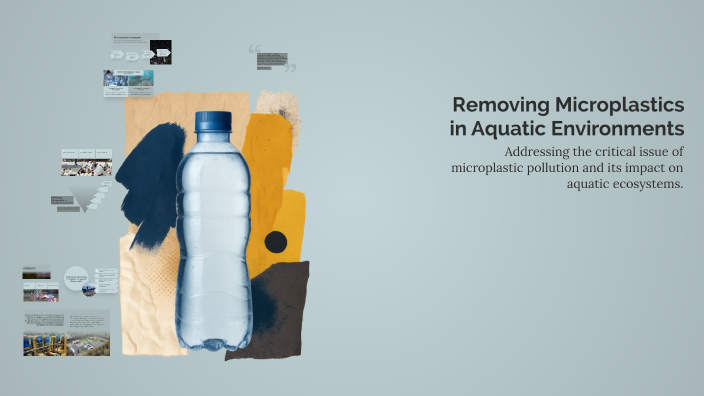 Removing Microplastics in Aquatic Environments by Khanda Khorsheed on Prezi