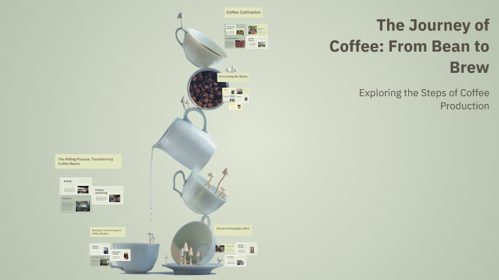 The Journey of Coffee: From Bean to Brew by Lan Biteznik on Prezi