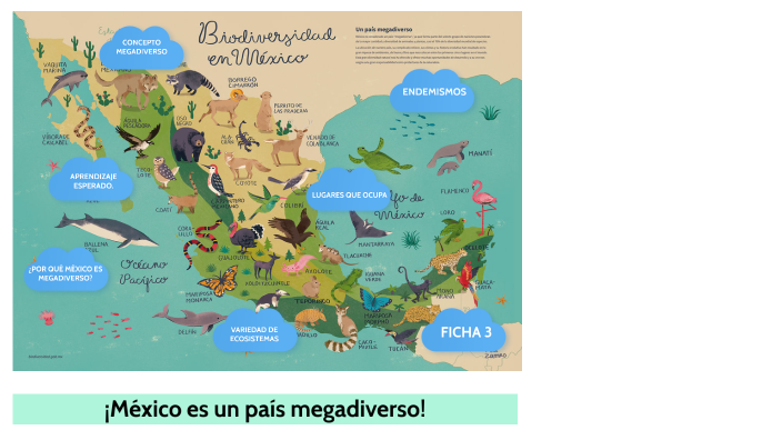 México como país megadiverso. by Ariadna Santa Anna on Prezi