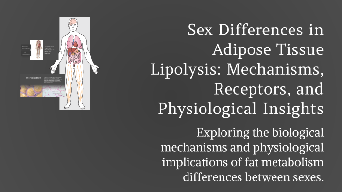 Sex Differences in Adipose Tissue Lipolysis: Mechanisms, Receptors, and ...