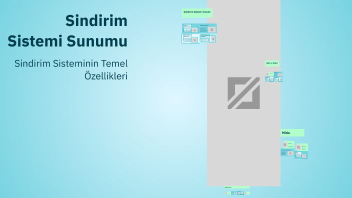 Sindirim Sistemi Sunumu by Zeynep E on Prezi