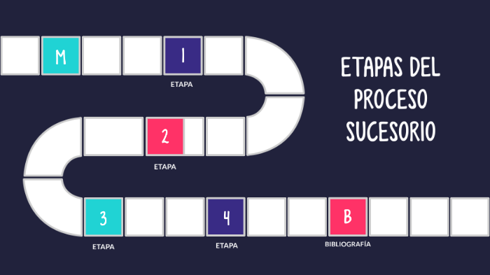 ETAPAS DEL PROCESO SUCESORIO By Mariana Aguilar On Prezi