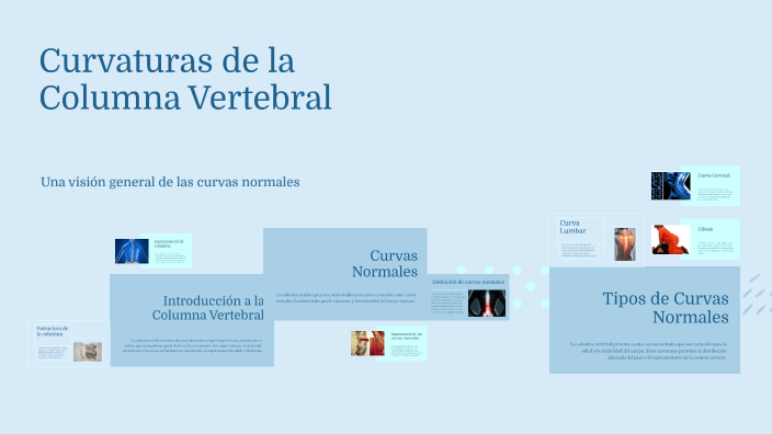 Curvaturas De La Columna Vertebral By Miriam Delfin On Prezi