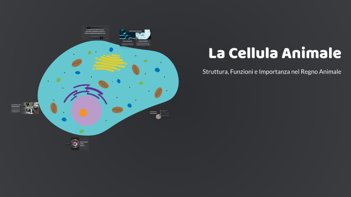 La Cellula Animale by Maria Chiara Mazzotta on Prezi