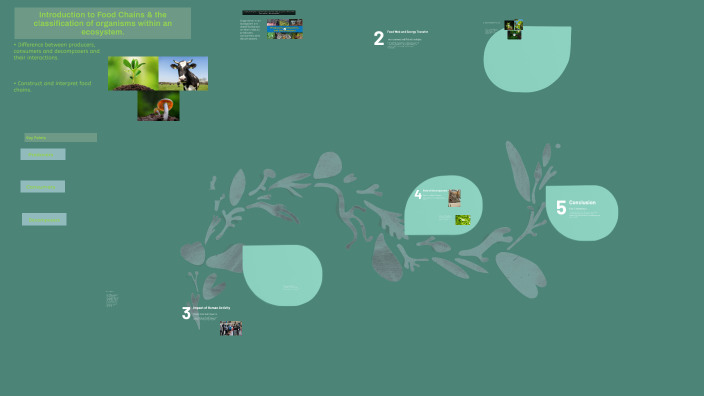 Introduction to Food Chains by Ethan Pedrana on Prezi