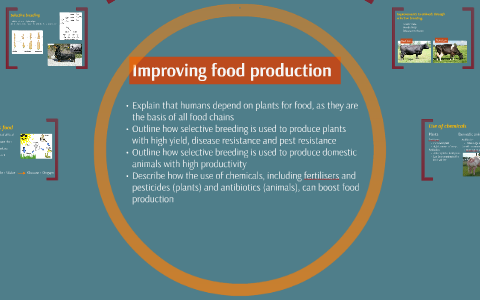 Improving Food Production by charlotte smith on Prezi