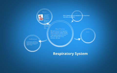 Respiratory System by brandon smith on Prezi