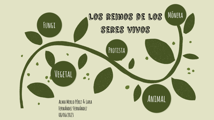 Los Reinos De Los Seres Vivos By Alma Merlo Pérez On Prezi