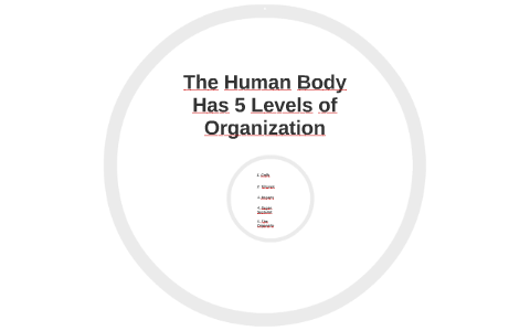 The Human Body Has 5 Levels of Organization by Theresa Martin on Prezi