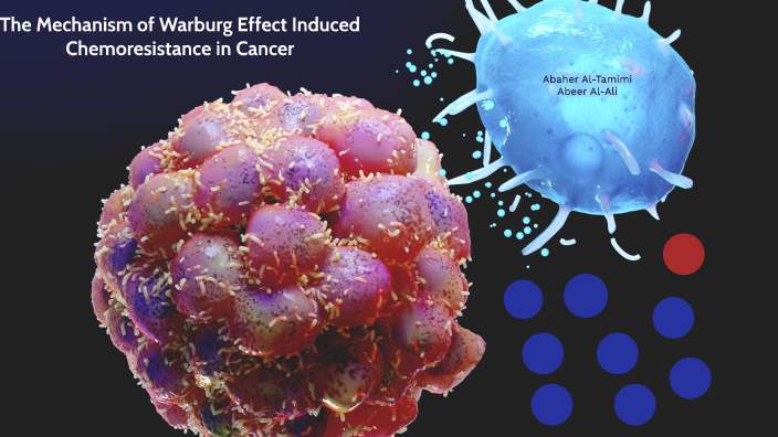 Warburg Effect by BERO ... on Prezi