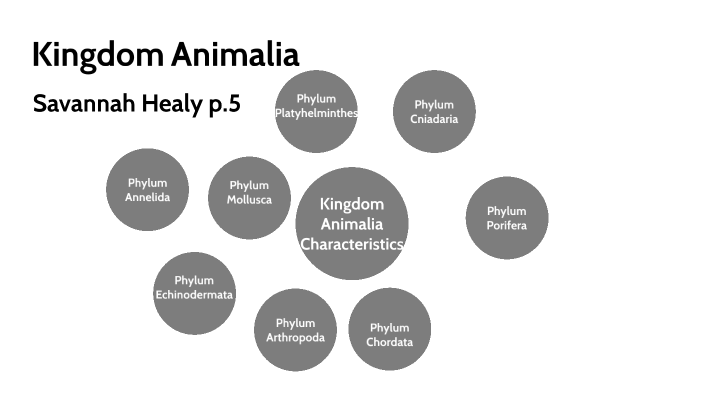 Zoology Project by Savannah Healy on Prezi