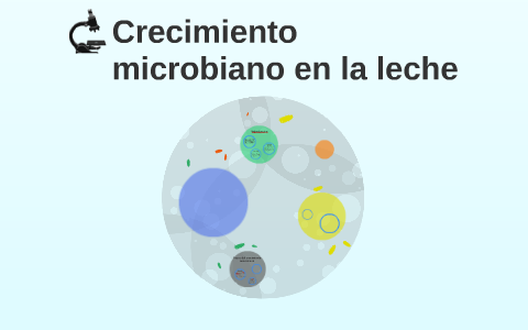 microorganismos en la leche