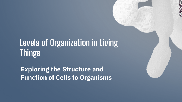 Levels of Organization in Living Things by lailin rivas on Prezi