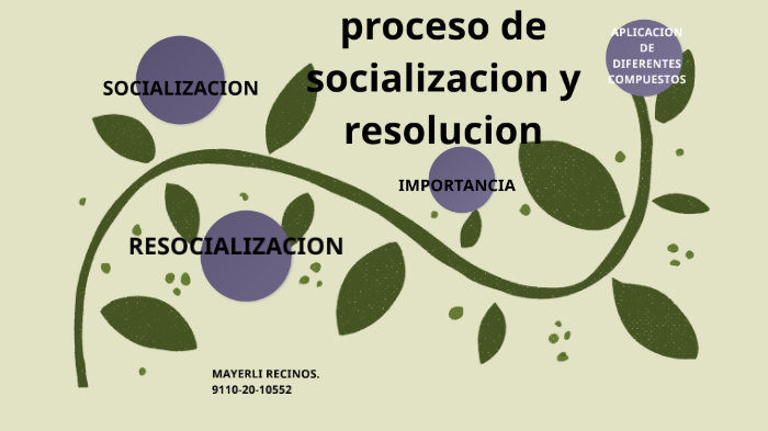 El Proceso De Socializacion Y Resocializacion By Mayerli Elenita ...