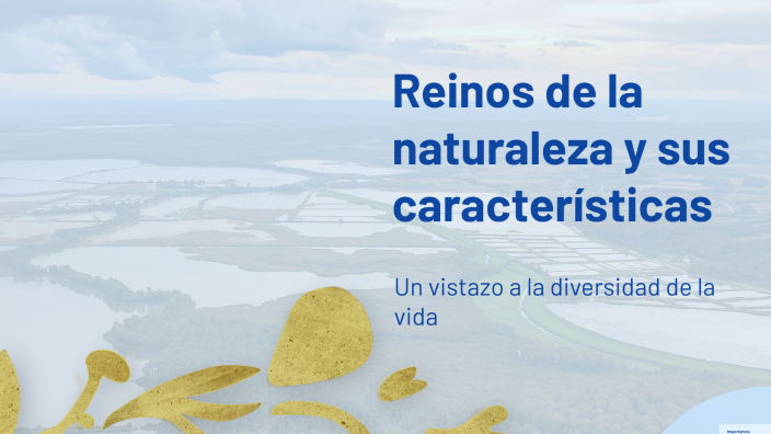 Reinos de la naturaleza y sus características by WILLIAM ANTONIO ...