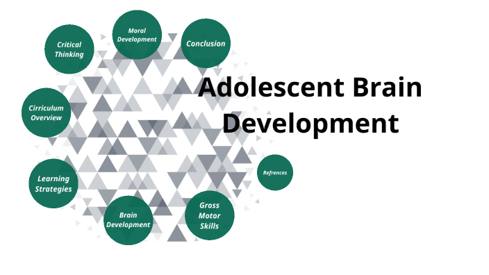 Adolescent Brain Development by Jerry Floyd on Prezi