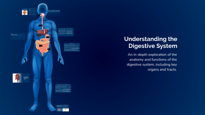 Understanding the Digestive System by Noerene Carollo on Prezi