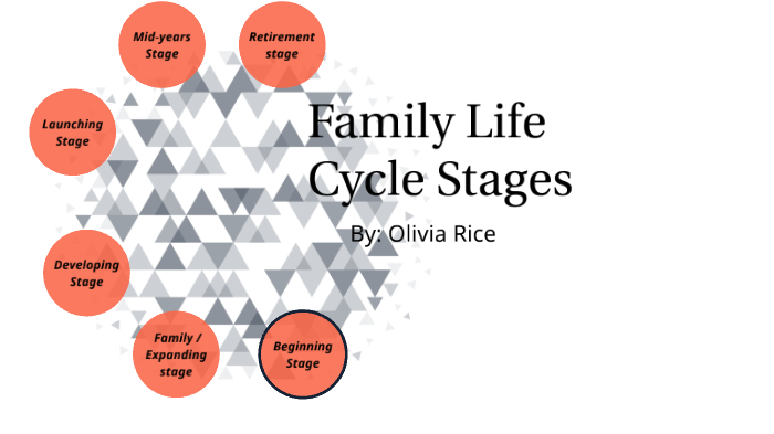 What Is The First Stage Of Family Life Cycle