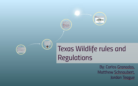 Texas Wildlife Rules And Regulations By Jordan Teague