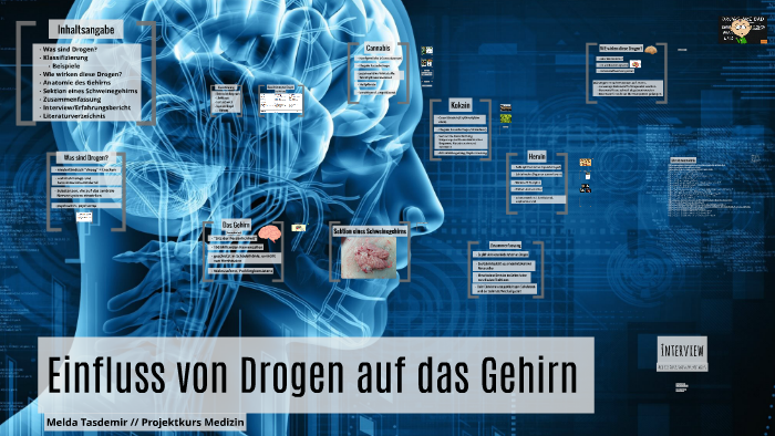 Drogen Wirken Auf Das Nervensystem Einfluss von Drogen auf das Gehirn by Melda Tasdemir on Prezi