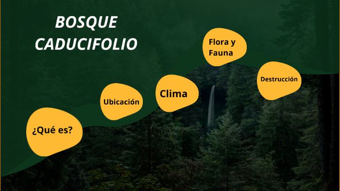 animales y plantas del bosque caducifolio