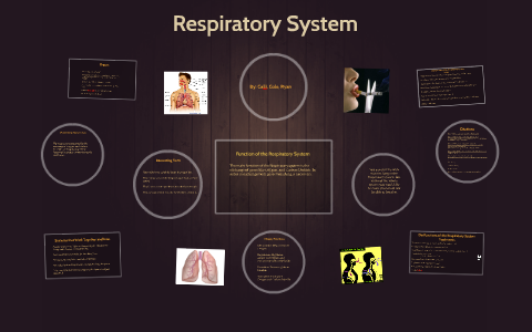 Respiratory System by Cole Evans on Prezi