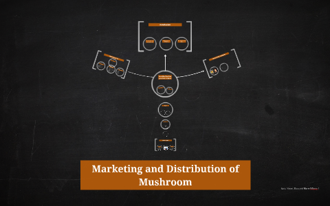 marketing and distribution of mushroom case study