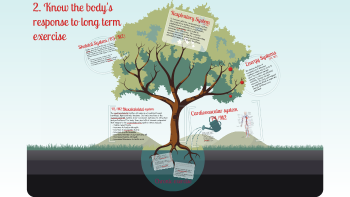Assignment 2 Long term effects of exercise by Miss Watson on Prezi