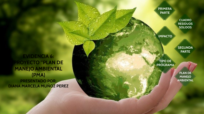 Evidencia Proyecto Plan De Manejo Ambiental Pma By Diana Mu Oz On