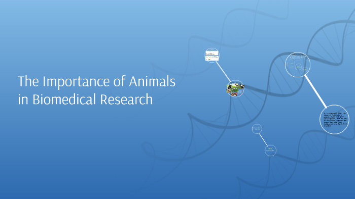 advantages of using animals for medical research