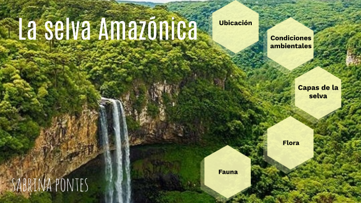 La selva Amazónica by Sabrina Pontes on Prezi