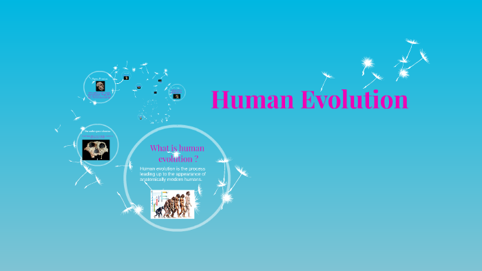 Human Evolution by on Prezi