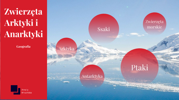 Zwierzęta Arktyki i Antarktyki by La Vida Loca on Prezi