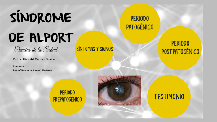 Síndrome de Alport by Lucia Bernal on Prezi