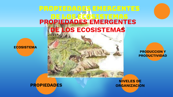 PROPIEDADES DE LOS ECOSISTEMAS by Alejandra Martínez on Prezi