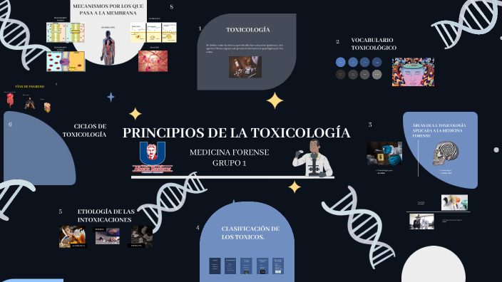 Principios de la toxicología by Dam Melara on Prezi