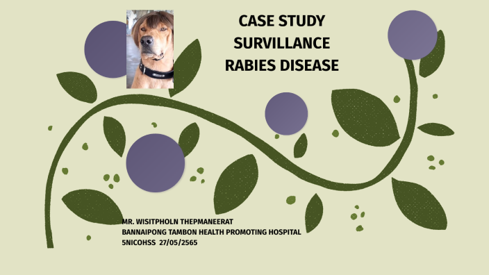 case presentation rabies