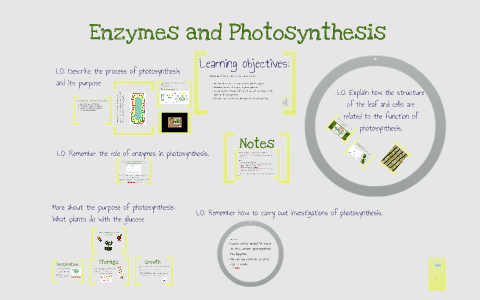 4.4 enzymes and photosynthesis by Emma Benton on Prezi