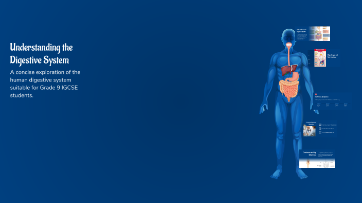 Understanding the Digestive System by Fofo on Prezi