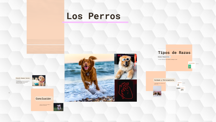 Los Perros by maria gomez} on Prezi