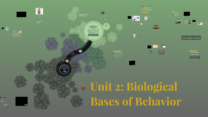 Unit 2: Biological Bases Of Behavior By Emily Werboff On Prezi