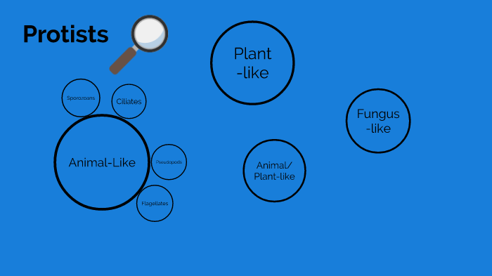 Seth Prezi by Seth Forbes on Prezi