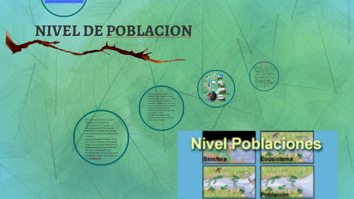 NIVEL DE POBLACION by norelis palacios