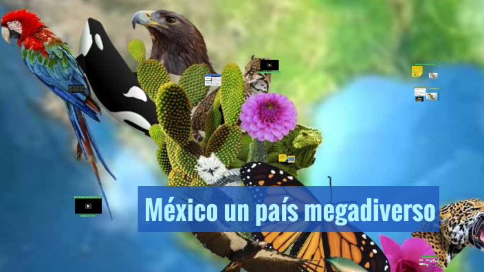 México un país megadiverso-regiones naturales by Guadalupe Chan on Prezi